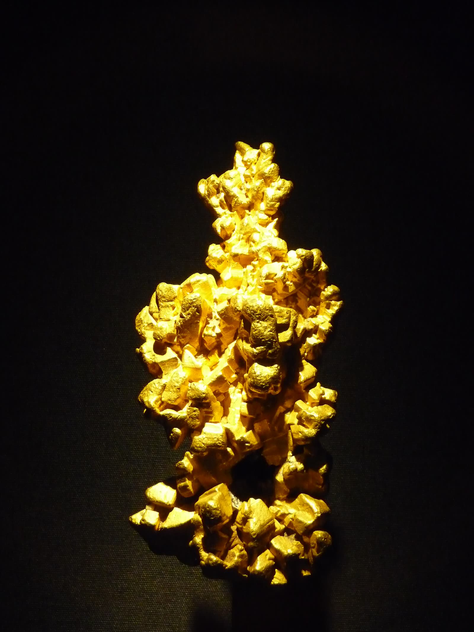The Latrobe gold nugget, a large natural gold specimen on a black background