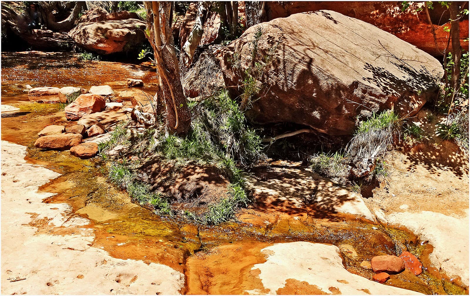 A spring pooling water between red desert rock